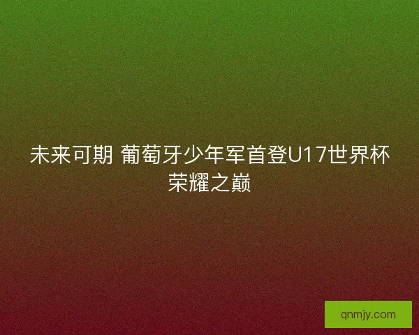 未来可期 葡萄牙少年军首登U17世界杯荣耀之巅